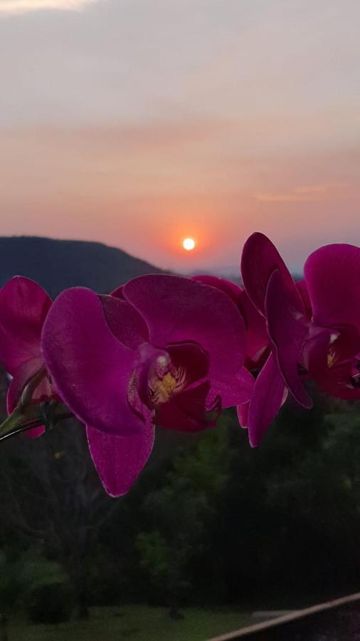 Pousada Flor De Lotus Dos Canyons Praia Grande  Luaran gambar